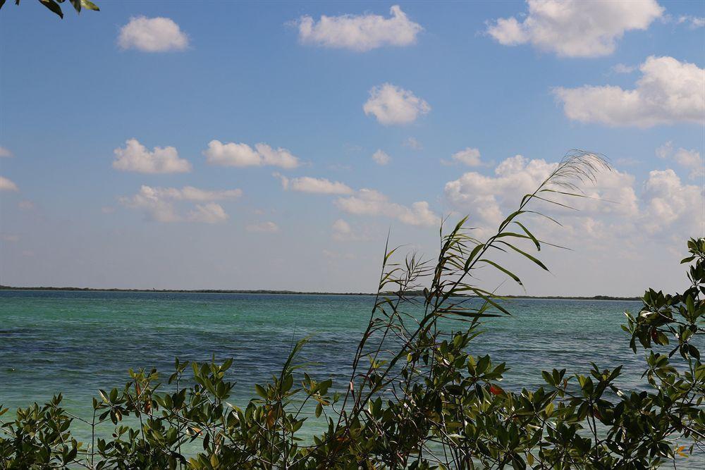 Kambulum Nature Eco-Villas Tulum Eksteriør bilde