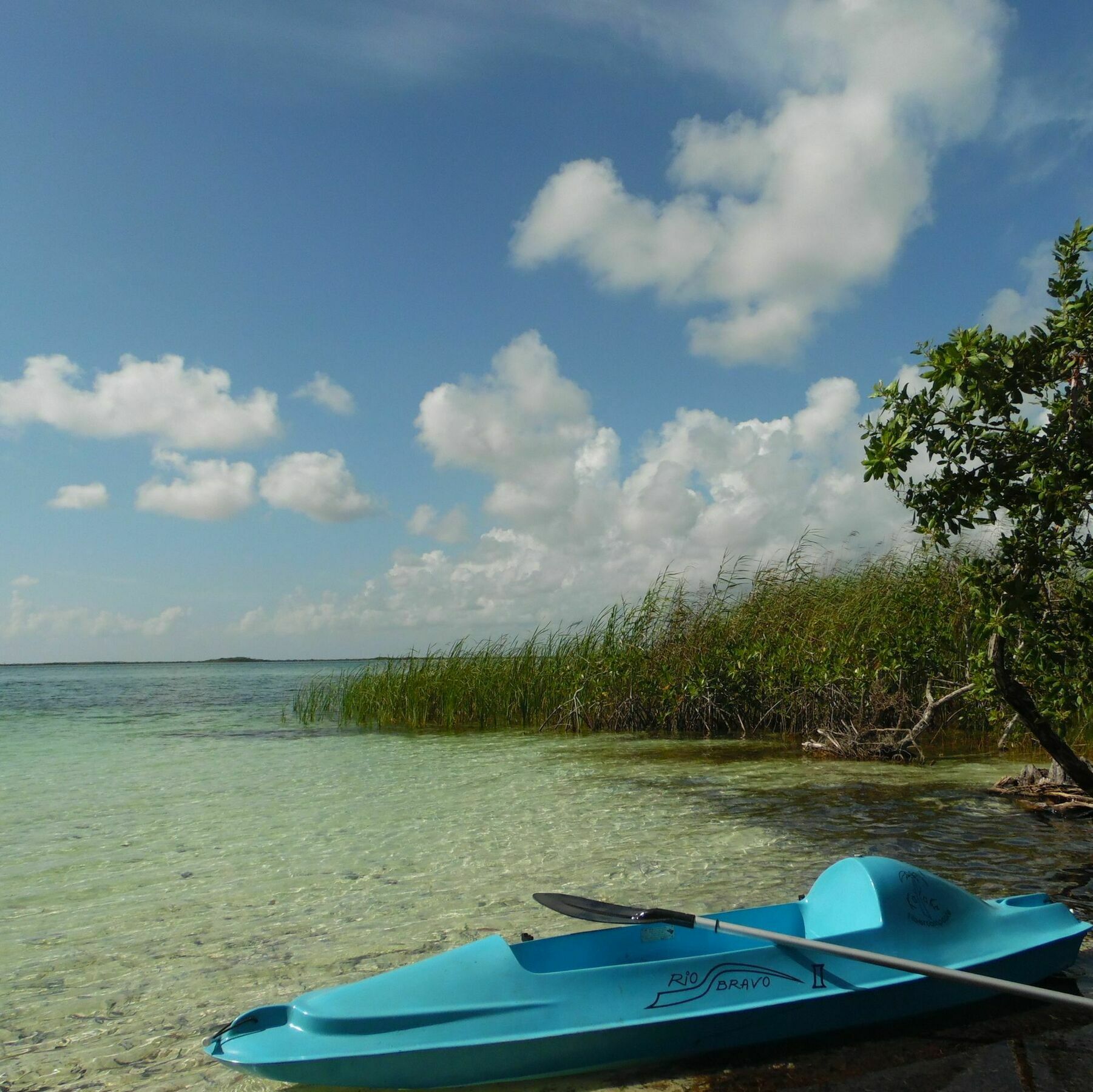 Kambulum Nature Eco-Villas Tulum Eksteriør bilde